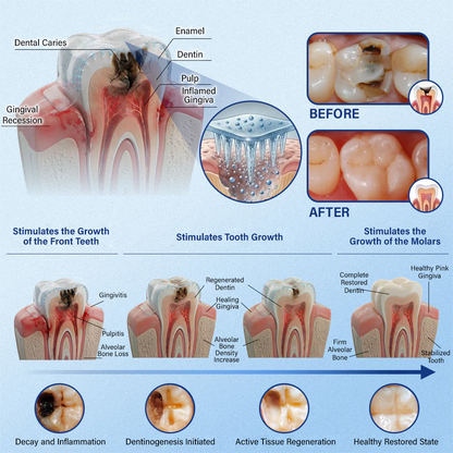 (NEW)Ceoerty® Tooth & Gum Repair Fast-Dissolving Microneedle Patch